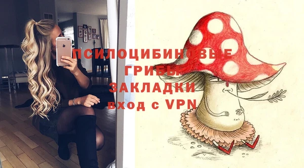 PSILOCYBIN Баксан